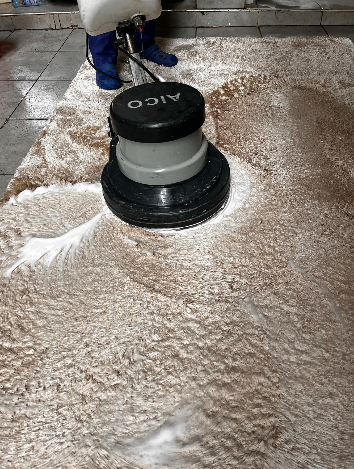 Carpet Cleaning